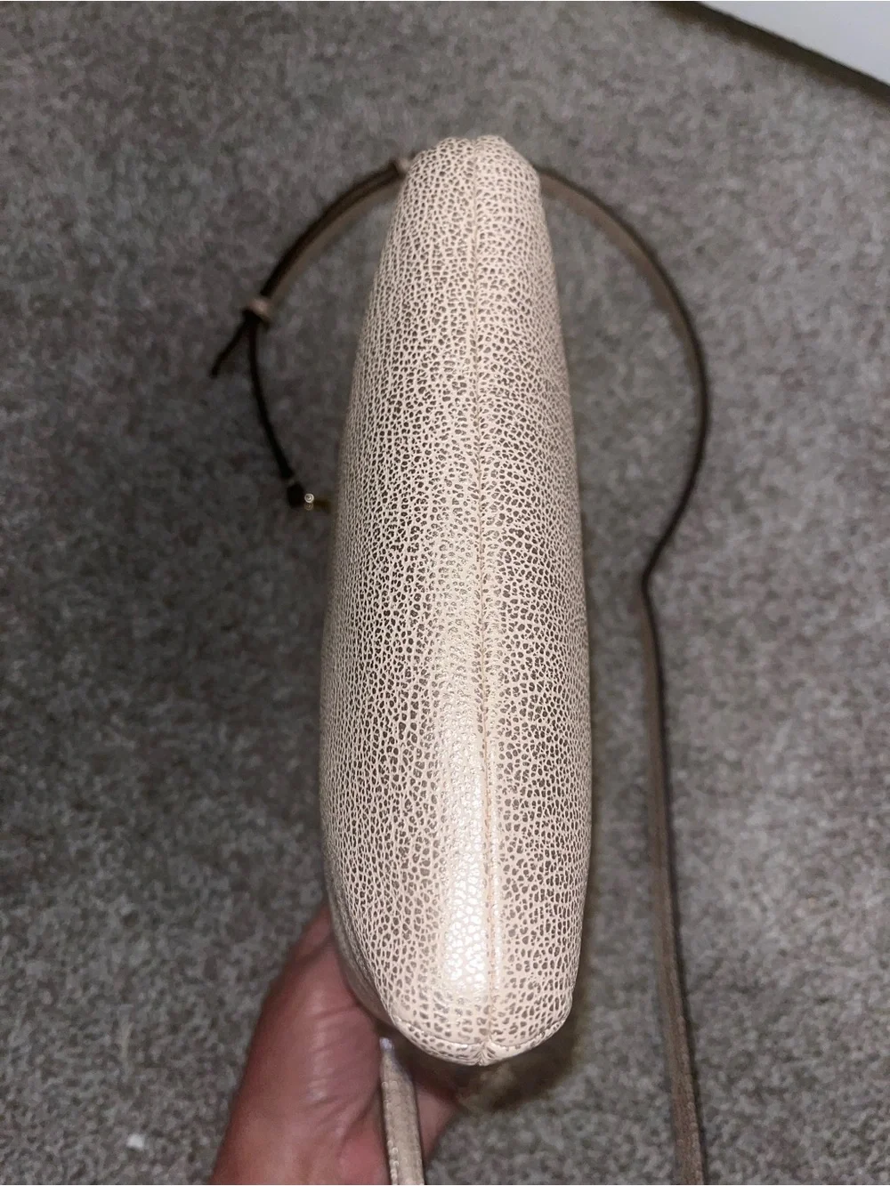 Coach North South Crossbody in Champagne